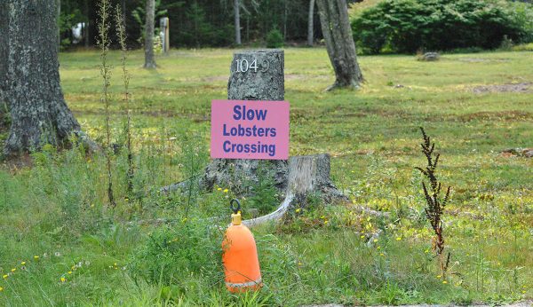 Slow Lobster Crossing Sign Slow Lobster Crossing Sign